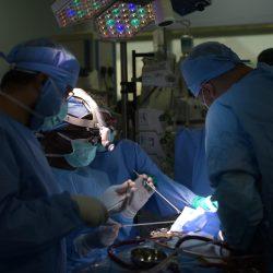 355 من فتيات الكشافة يشاركن في تنظيم الحشود بالمسجد الحرام