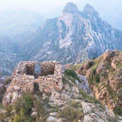 ضمن عروض” سماك داون” العالمية” ليلة الأبطال” تلوّن صيف السعودية بالإثارة.. وتجذب عشاق المصارعة نحو الرياض