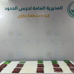 حرس الحدود بمنطقة عسير يقبض على8 مخالفين لنظام أمن الحدود لتهريبهم 144كلجم من القات المخدر
