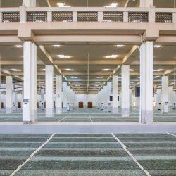 هيئة الإعلام تمنح هتان حموده اعتمادين مهنيين