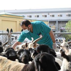 الجامعة الإسلامية: تمديد فترة التقديم على الدبلوم العالي للأمن السيبراني حتى 20 محرم المقبل