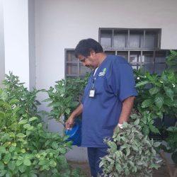 بيئة الطائف تُهيئ أحواض الزراعة في سد عكرمة وتروي الشتلات المزروعة