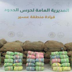 حرس الحدود بمنطقة جازان يقبض على 13 مخالف لنظام أمن الحدود لتهريبهم 260 كلجم من القات المخدر