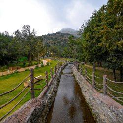 تعليم الطائف ينفذ فعالية فرحة نجاح للطلاب والطالبات وأولياء الأمور