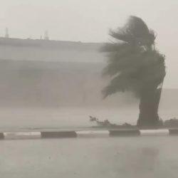 وزارة البيئة والمياه والزراعة تستحدث “مكتب تنسيق ومتابعة شؤون الحج والعمرة”