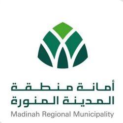 أمانة القصيم تنفذ صيانة للطرق بطول 231 كلم ومشاريع تطويرية خلال النصف الأول من 2025