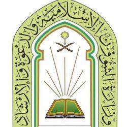 وزارة الصحة تتصدى لالتهاب الكبد الفيروسي: أكثر من 19 مليون فحص و 95% نسبة الشفاء