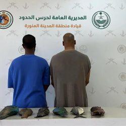 جامعة طيبة تطلق برنامج تجسير البكالوريوس في تقنية الأشعة التشخيصية