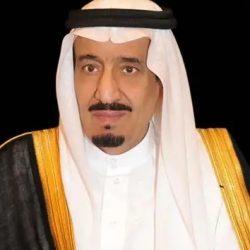 ارتفاع عدد الشهداء في قصف الاحتلال الإسرائيلي شققًا وخيامًا للنازحين في قطاع غزة إلى 26