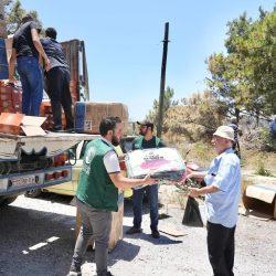 هيئة تطوير محمية الإمام تركي بن عبدالله الملكية تُسهم في مكافحة العواصف الرملية بالتشجير والتجدد الطبيعي