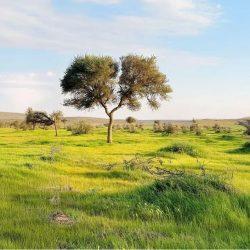 وزارة السياحة تضبط 10 مكاتب خدمات سفر وسياحة مخالفة في الرياض