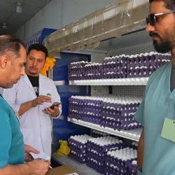 أمانة المدينة المنورة تُصدر أكثر من 4700 رخصة وتصريح عبر منصة “بلدي” خلال يونيو 2025