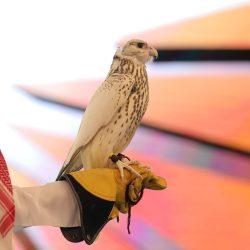 الهيئة العامة للعناية بشؤون الحرمين توفر رعاية متكاملة لذوي الإعاقة