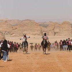 زراعة التين في القصيم.. نموٌّ متسارع يدعم التنوّع الزراعي ويُمهِّد للتصدير