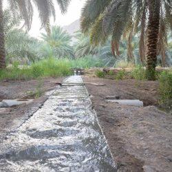 “بيئة الرياض” تنفذ حملة رقابية مشتركة على أسواق النفع العام وتؤكد استمرار جهودها في رفع الامتثال وسلامة الغذاء