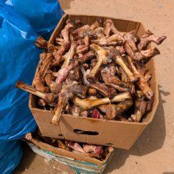 جامعة طيبة تفتح باب القبول في برامج التعليم الإلكتروني “عن بُعد” للعام الجامعي 2025