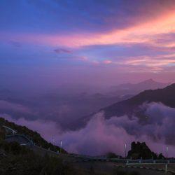 بيئة جدة تنفذ ورشة عمل بعنوان طرق الاستفادة من المخلفات الزراعية في مزرعة الأراك بثول