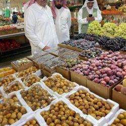 برعاية معالي رئيس الشؤون الدينية.. حفل ختامي يُتوّج جهود موسم الحج في المسجد النبوي لعام 1446هـ