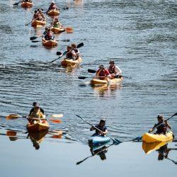 كلام للى يفهموه