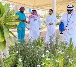 المدينة المنورة.. إرثٌ جيولوجي يمتد إلى أعماق التاريخ