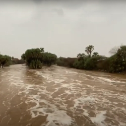 كأس العالم للرياضات الإلكترونية يعود بأرقام قياسية ومشاركة عالمية غير مسبوقة