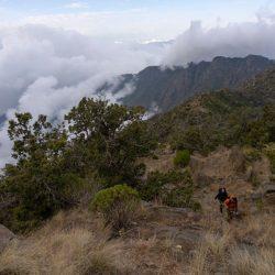 بيئة جدة تنفذ مبادرة بيئية تطوعية بالمحكمة العامة بجدة