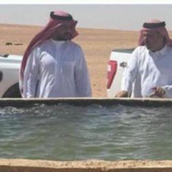 ختام مشروع “كي أكون” في نسخته السادسة بجمعية التنمية الأهلية بأبها