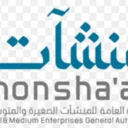 أمير القصيم يهنئ منتخب المنطقة لفئة تحت 13 عامًا بفوزه ببطولة المنتخبات الإقليمية على مستوى المملكة