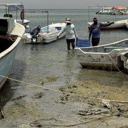“بيئة منطقة مكة المكرمة تتفقد السوق المركزي بالطائف استعدادًا لموسم الفاكهة الصيفي”