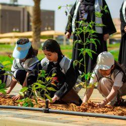 مسرح حديقة الفراشة.. ترفيه تفاعلي يومي يجذب العائلات ويبهج الأطفال ضمن فعاليات صيف المندق 2025