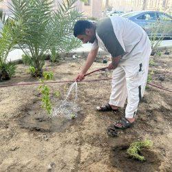 اكتشف روعة الطبيعة في 4 من أجمل منتزهات عسير