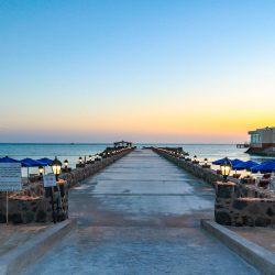 الشؤون الإسلامية في أسبوع