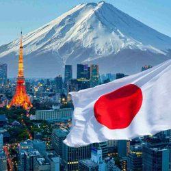 مناخ المدينة المنورة عنصر داعم لاستدامة زراعة التمور في بيئة طبيعية ملائمة