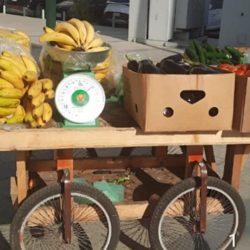 مهرجان “نبض العُلا” يعود بنسخة جديدة تنبض بالحيوية والتحدي وسط الطبيعة الخلابة