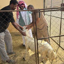 “بيئة جدة” تنظّم ورشة عمل حول دور الجمعيات التعاونية في تسويق المنتجات الزراعية