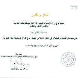 استشهاد تسعة فلسطينيين في قصف إسرائيلي على مخيم النصيرات