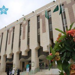 5 أغسطس.. نخبة سلالات الصقور تحلّق في سماء الرياض