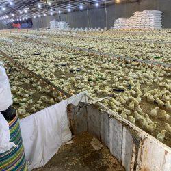 “بيئة بني مالك” تنفذ ثلاث ورش عمل توعوية في مجالات الصحة الحيوانية والزراعة المستدامة