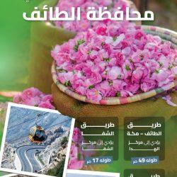 مبادرة مركز الزهراء الاجتماعي بمكة جدات ناجحات حطها رحلها في مدينة جدةً عروس البحر الأحمر