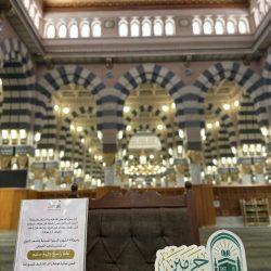 المدربة والكاتبة فاطمة المولد تتألق في ورشتها التدريبية .. فن المقال من الشعور إلى السطور