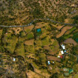 أفراح آل أحمري وآل منديلي