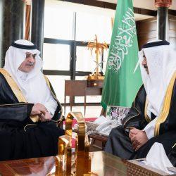 أمانة تبوك تستخدم أكثر من مائة ألف لتر من المبيدات لمكافحة الحشرات وبؤر تكاثرها