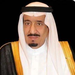 خادم الحرمين الشريفين يتلقى رسالة خطية من رئيس جمهورية مصر العربية