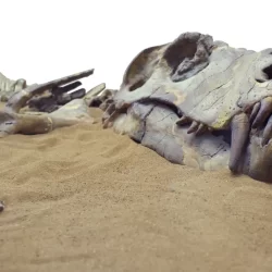 أمانة تبوك تنفّذ 8434 زيارة ميدانية لضبط أعمال البنية التحتية