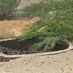 مدير جامعة مليبار الاسلامية بالهند يؤكد بأن :القرآن الكريم رسالة عظيمة لفلاح البشر