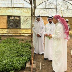 القانون الفريد في حل لغز التجويد