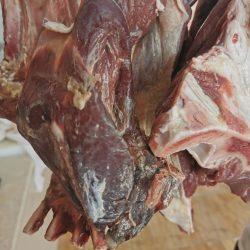 132 عملية عيون خلال ثمانية أشهر مستشفى حقل يحقق إنجازًا طبيًا لعمليات العيون  