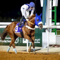 كلام للى يفهموه