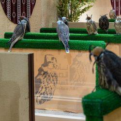 ‏‏”بيئة رنية” تنفذ مبادرتان تطوعيتان لتعزيز الغطاء النباتي وتحسين المشهد الحضري