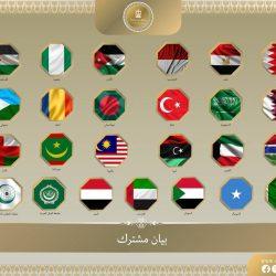 السيسي – يستقبل السيد هاكان فيدان وزير خارجية جمهورية تركيا